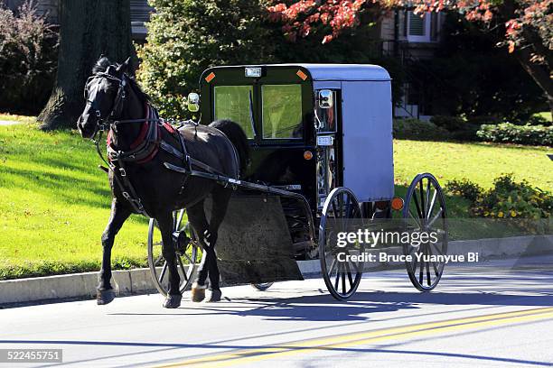 amish buggy - horsedrawn stock pictures, royalty-free photos & images