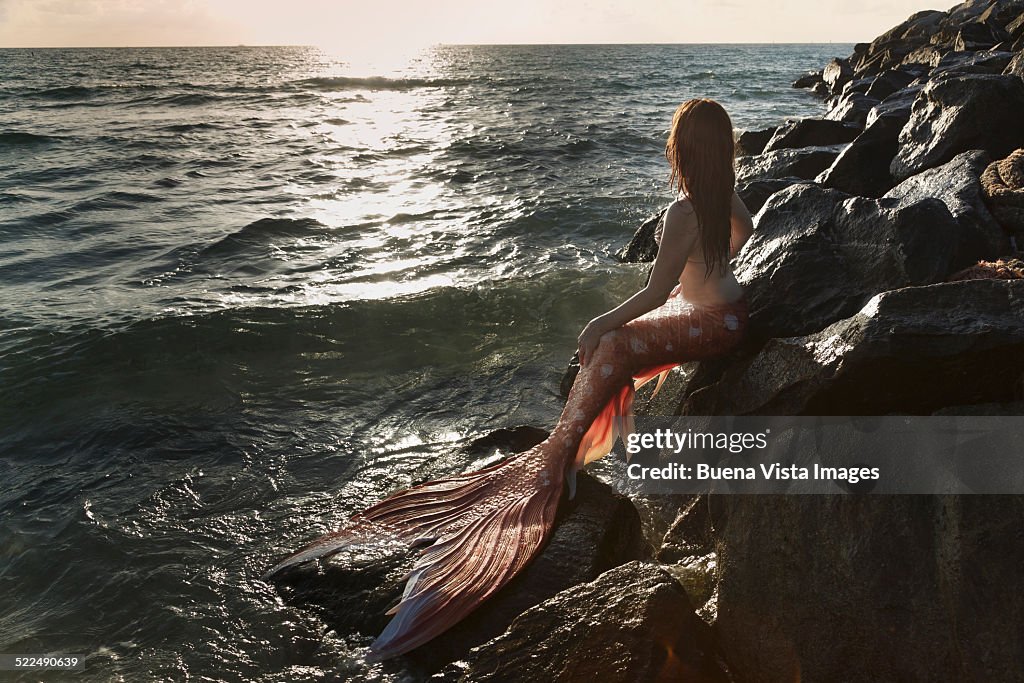 Mermaid watching  sunset