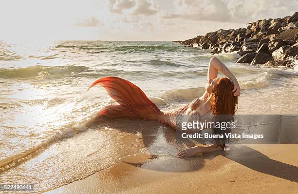 mermaid on the beach at sunset - mermaid tail stock-fotos und bilder