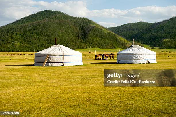 horse and mongolia yurt at orkhon valley in central of mongolia - orkhon river stock pictures, royalty-free photos & images