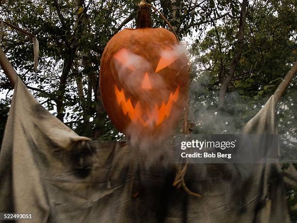 jack o' lantern - dry ice halloween stock pictures, royalty-free photos & images