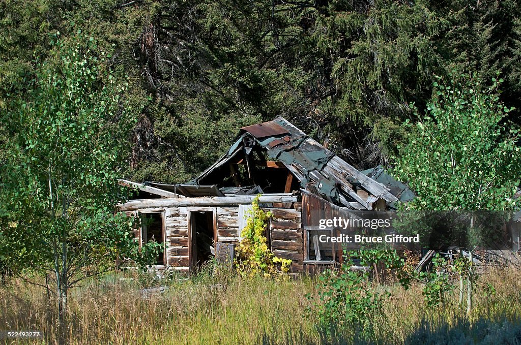 Derelict Buildings