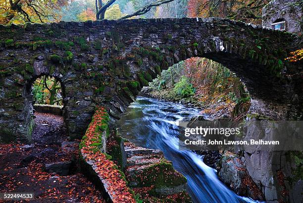 autumn colors - perthshire stock pictures, royalty-free photos & images