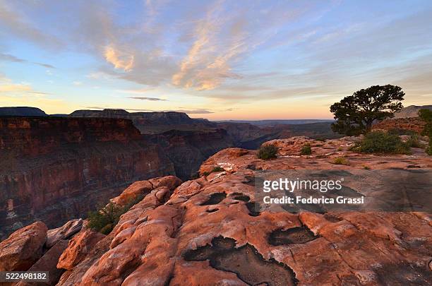 sunset at toroweap point, north rim of the grand canyon, arizona - toroweap point stock pictures, royalty-free photos & images