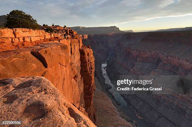 photographing the sunrise at toroweap point, grand canyon, north rim, arizona - toroweap point stock pictures, royalty-free photos & images