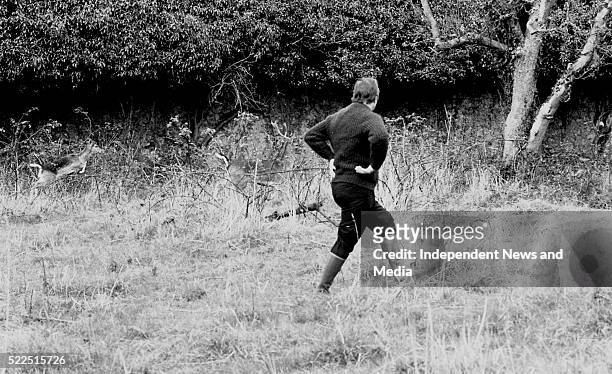 Charles Haughey, with his stag and fawn on his farm in Kinsealy. . . 373-160.