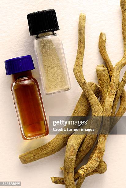 ibogaine - ibogaine stock pictures, royalty-free photos & images