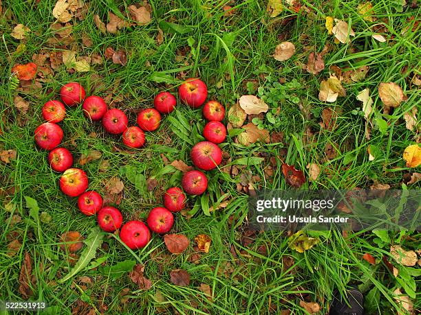 heart shape of apples - apple heart stock pictures, royalty-free photos & images
