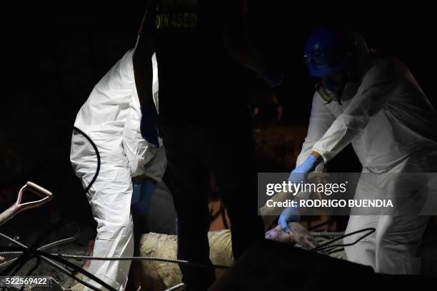 Rescue workers carry a corpse from earthquake rubbble in Pedernales, Ecuador on April 20, 2016. - The death toll from Ecuador's earthquake was set to...