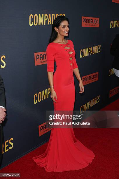 Actress Aislinn Derbez attends the premiere of "Compadres" at ArcLight Hollywood on April 19, 2016 in Hollywood, California.