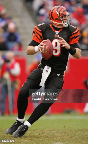 Carson Palmer of the Cincinnati Bengals looks to pass during the game against the New England Patriots at Gillette Stadium on December 12, 2004 in...