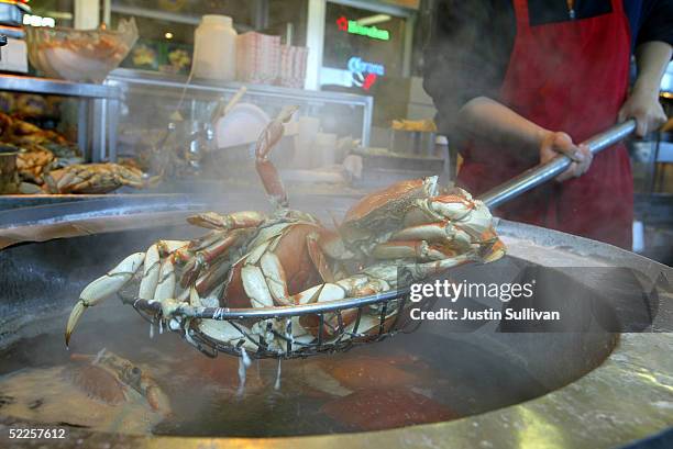 Man pulls fresh Dungeness Crabs from a pot of boiling water at Fisherman's Wharf February 28, 2005 in San Francisco, California. According to the Bay...