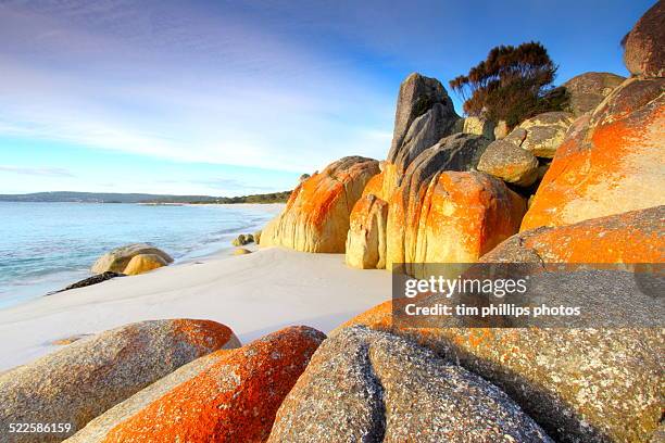 bay of fires tasmania australia - bay of fires - fotografias e filmes do acervo