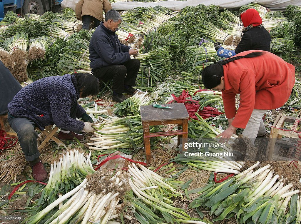 Vendors Wait For Customers At A Market In Beijing