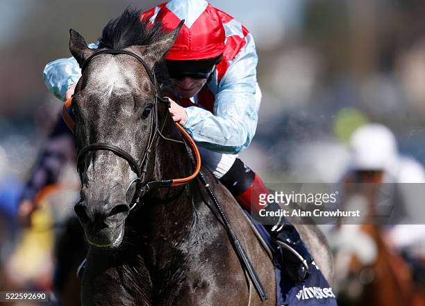 Franny Norton riding Dark Red win The Investec City And Suburban Stakes at Epsom racecourse on April 20, 2016 in Epsom, England.