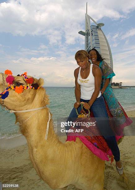 Tennis champions Serena and her sister Venus Williams ride a camel on the beach in front of the Burj Al Arab hotel during the WTA Dubai Women's Duty...