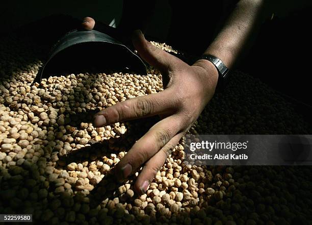 Palestinian workers give refugees aid food from the European Union, distributed by the World Food Program , on March 01, 2005 in Gaza City, Gaza...