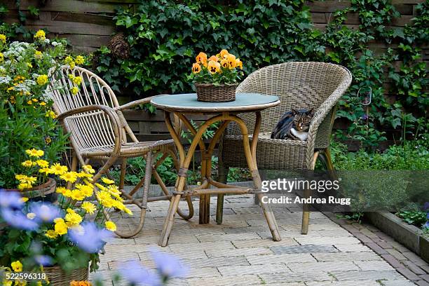 garden patio with wicker furniture and housecat - formal garden stock photos et images de collection