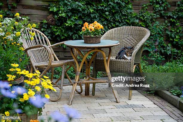 garden patio with wicker furniture and housecat - giardino ornamentale foto e immagini stock