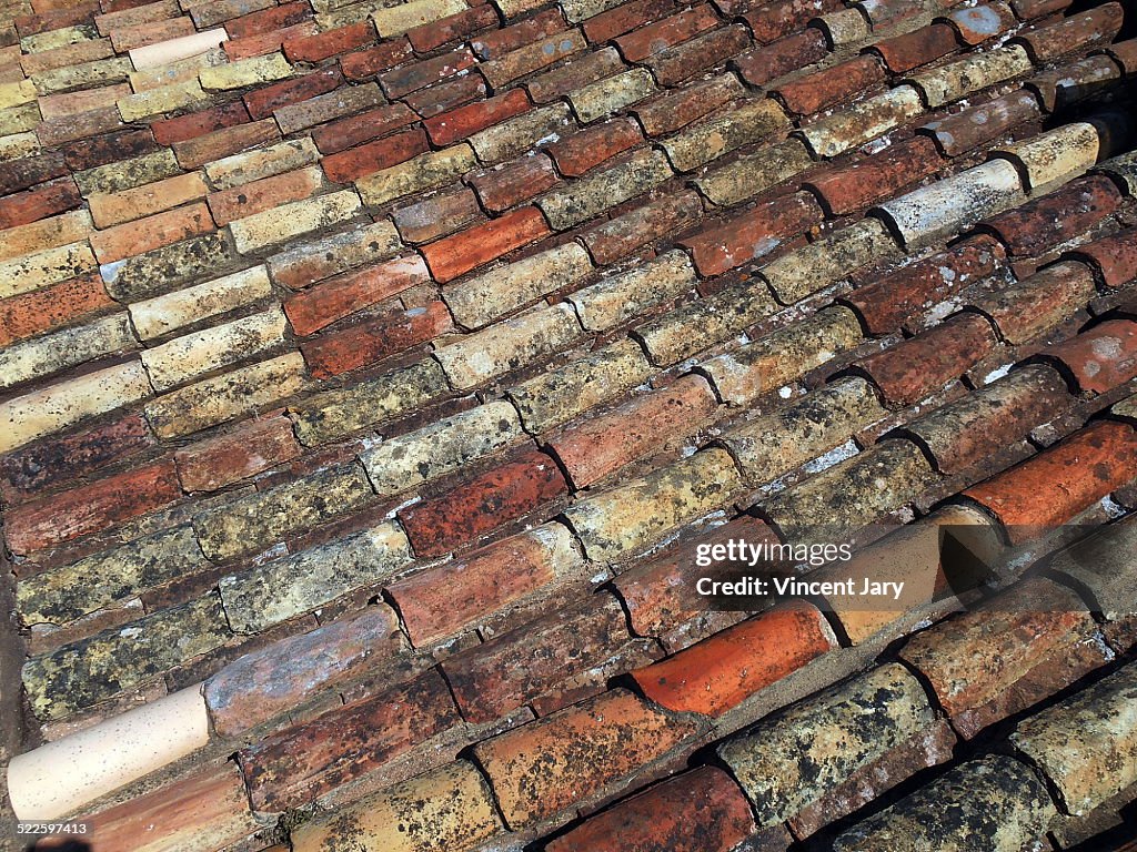 Terracotta roof tiles