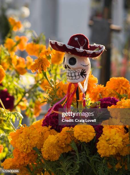 day of the dead decorations - day of the dead stock pictures, royalty-free photos & images