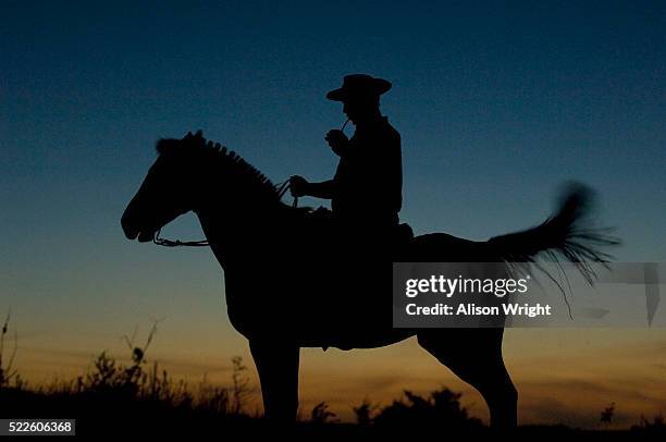 ranch owner drinking mate at los tres botones ranch - botones stockfoto's en -beelden