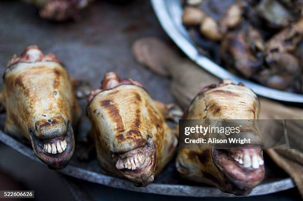 goat heads for sale - afghanistan stock pictures, royalty-free photos & images