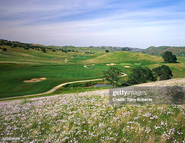 legends west course at diablo grande - west course stock pictures, royalty-free photos & images