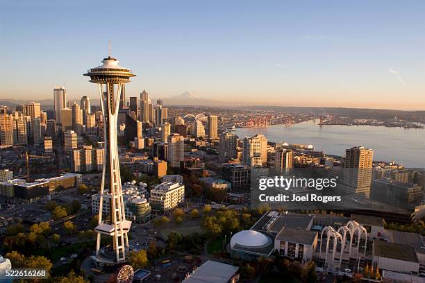 space needle and seattle skyline - space needle bildbanksfoton och bilder