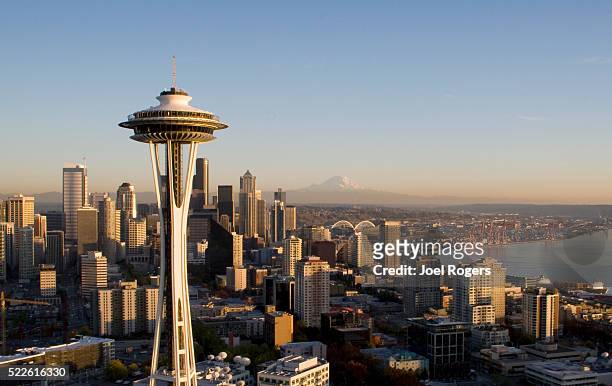 space needle and seattle skyline - seattle needle stock pictures, royalty-free photos & images