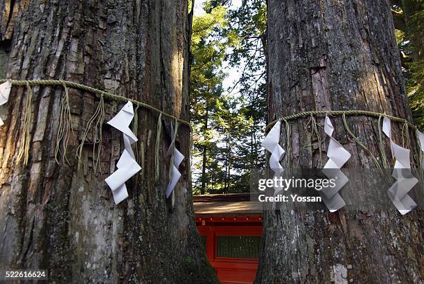 Shide (Shinto) Photos and Premium High Res Pictures Getty Images