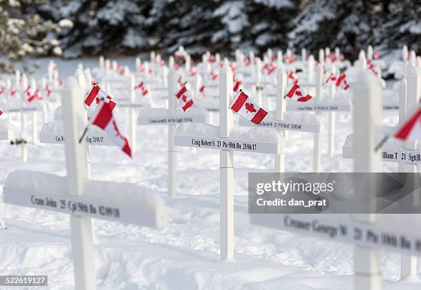 remembrance day memorial - remembrance day canada stock pictures, royalty-free photos & images