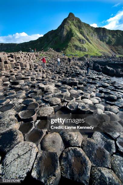 columnar basalt at giant's causeway - giant's causeway stock pictures, royalty-free photos & images