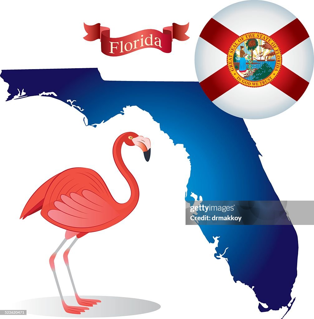 Florida-Flamingo