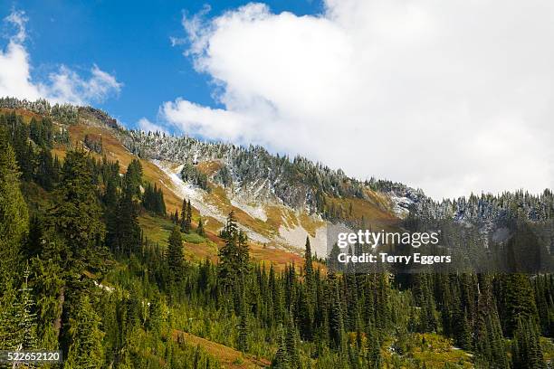 first snow of autumn on hills of mount rainier national park - mt rainier national park stock pictures, royalty-free photos & images