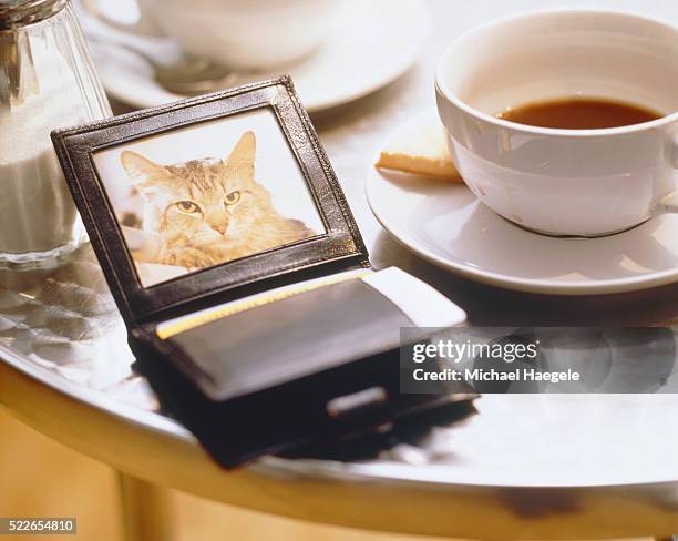 wallet with photograph of cat lying on a table - silver purse stock-fotos und bilder