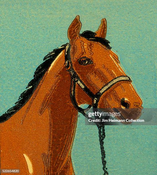 Matchbook image of brown horse's head wearing bridle.