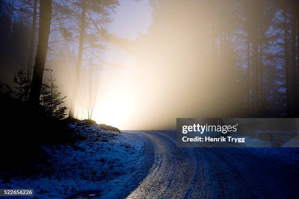 headlights lighting icy road at night - vehicle light fotografías e imágenes de stock