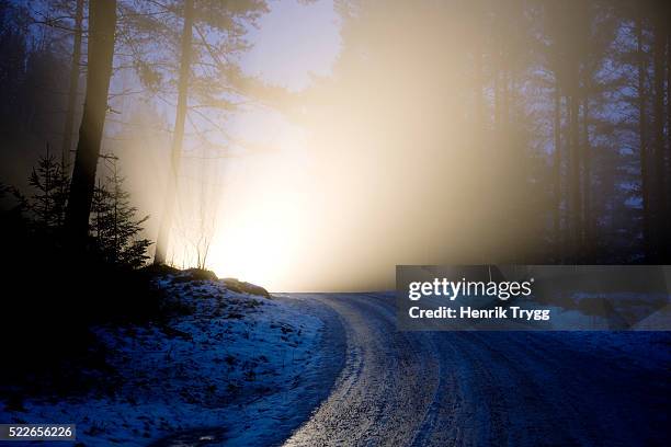 headlights lighting icy road at night - vehicle light stock pictures, royalty-free photos & images