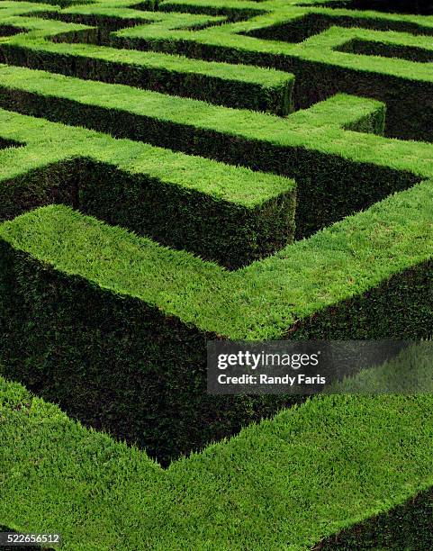 garden maze - labyrinth stock pictures, royalty-free photos & images