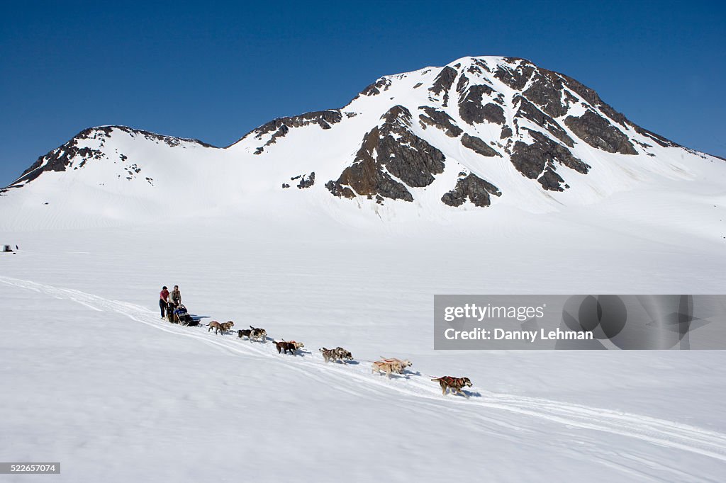 Dog Sledding in Chugach Mountains