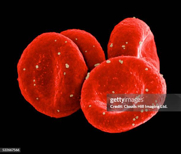 red blood cells - red blood cell stock pictures, royalty-free photos & images