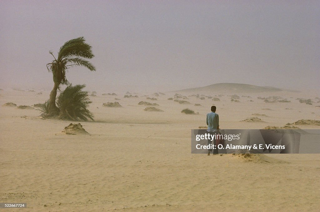 Sandstorm in Western Desert