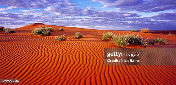 sand dunes in the simpson desert - travel boundless stock-fotos und bilder