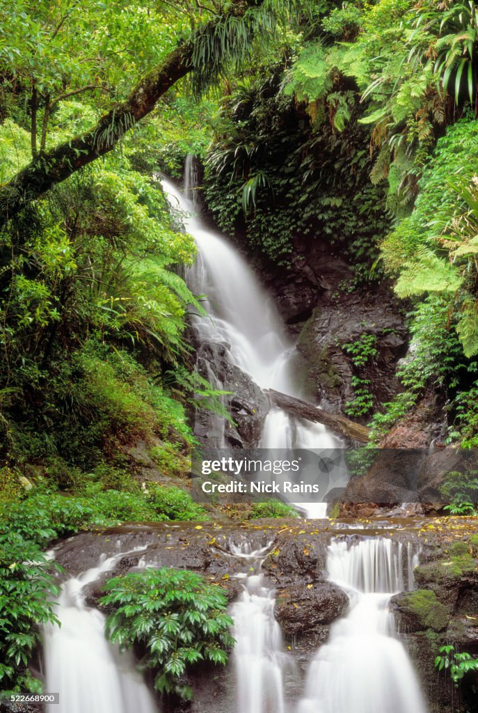 Elabana Falls in Lamington National Park