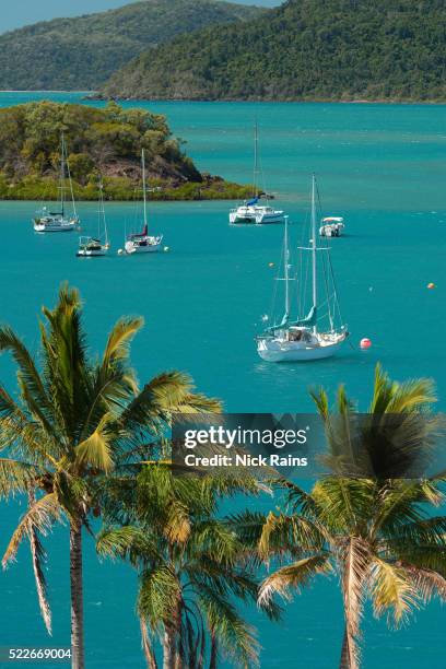 sailboats moored at airlie beach in queensland - ilhas whitsunday imagens e fotografias de stock