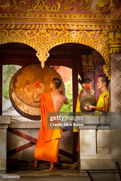 Laotian Musical Instrument Photos and Premium High Res Pictures - Getty ...