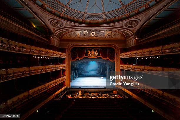 royal operah house - royal opera house london stock pictures, royalty-free photos & images