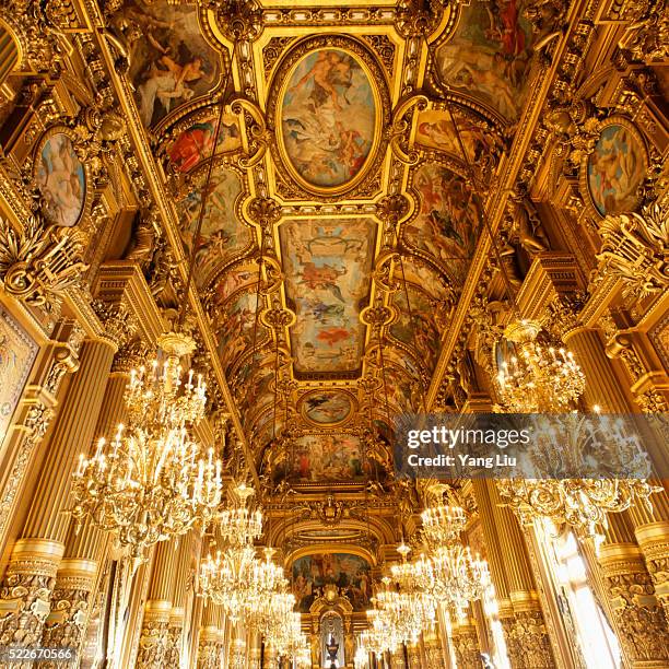 443 Paris Opera House Interior Stock Photos, High-Res Pictures, and ...