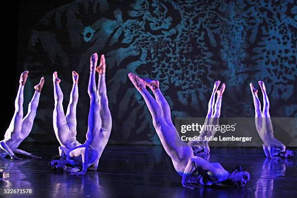 52 Alwin Nikolais Dancers Stock Photos, HighRes Pictures, and Images